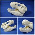 T-Rex-Tape06.jpg Dispensador de cinta T-Rex