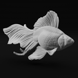13.png Ryukin Fancy Goldfish - Realistic Fish Pet