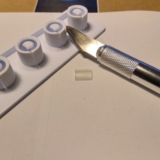 IMG_20190406_201948.jpg R-hop Jig