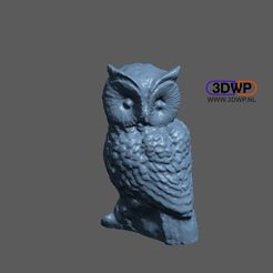 Owl1.JPG Download free STL file Owl Sculpture 3D Scan • 3D printer design, 3DWP