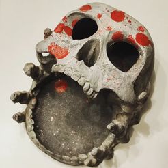 rrrrr.jpg skull jewelry holder and rings