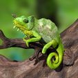TQuadricornisPosterSzene0000.jpg Southern four-horned chameleon Triocerus quadricornis file with full-size texture STL 3D print high polygon - modeled in Zbrush with tree/branch