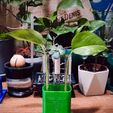 IMG_20240123_092443.jpg Planter stand for flasks (15 mm)
