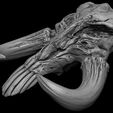 10.jpg 3D PRINTABLE MYTHOSAUR SKULL  HORNS AND SORGAN FROG THE MANDALORIAN