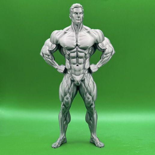 Bodybuilding - Classic Front Lat Spread