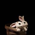 DSC01551.jpg Easter Bunny Baskets - Baby Kitten