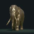 Elephant_Pose_Cy-0003.png Asian Elephant