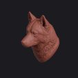 husky_0015.jpg Husky Head