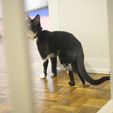 exo_3D_protesisMINA_6.jpg CAT PROSTHESIS _ PARTIAL TARSAL PROSTHESIS