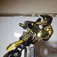 20220808_230122.jpg Motocross rider whip