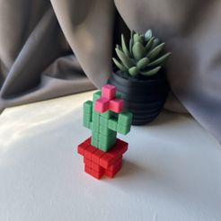 IMG_2767.jpg 3D file PIXEL CACTUS・3D printing idea to download