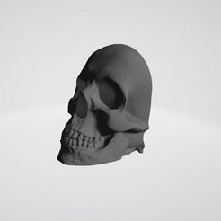 c1.JPG STL file Skulls for wall decoration・3D printer design to download, Printe3D
