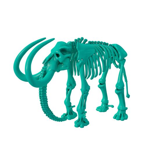 elephant skeleton / skeleton stl / hand skeleton / foot skeleton / skull / thoracic skeleton / animal skeleton /halloween skeleton 3D model