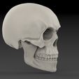 untitled.165.jpg Classic Skull