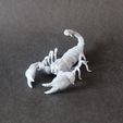 Printed_scorpion_2.jpg 3D file Emperor scorpion for 3D printing - pre supported・3D print design to download