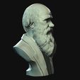 15.jpg Charles Darwin portrait sculpture 3D print model