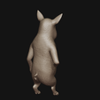 7.png The Little Pig