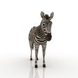Zebra_4.jpg Zebra 3D model