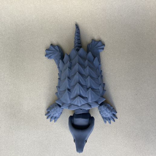 3)))))) BS Alligator-Schnappschildkröte