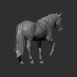 horse-3d-model-ce7a25514d.jpg Horse 3D print model