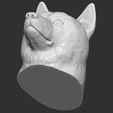 22.jpg Doge meme Shiba Inu head for 3D printing
