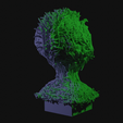 vid0257.png Alien Insectoid Bust
