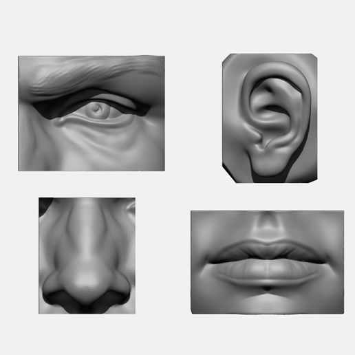 02.jpg ANATOMY PACK - FACE PARTS