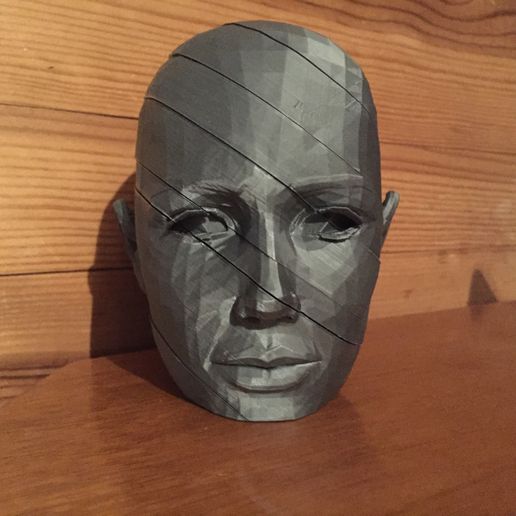 IMG_1936.JPG Download free STL file Sliced woman's head • 3D print template, juanpix