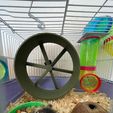 IMG_4687.jpg Hamster wheel - 18cm - on ball bearings