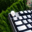 keycap scull 3d printing 2.jpg Crâne Keycap STL pour modèle d'impression 3D Cherry MX
