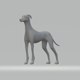 2.png Miles Whippet Neutral Pose Free 3D print model