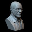 MrWhite09.RGB_color.jpg Télécharger fichier Walter White alias Heisenberg (Bryan Cranston) de Breaking Bad. • Design pour imprimante 3D, sidnaique