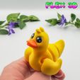 Duckies-with-Bathtub-7.jpg Flex 3D Ducky Chunkies с ванной