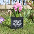 IMG_3730.jpg Gothic Style Plant Pots
