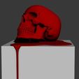 3-d-model-art-scull-3d-model-max-obj-mtl-fbx-stl-wrl-wrz (15).jpg 3D model Art scull 3D print model
