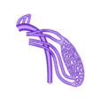 pieza4.stl Systemic circulatory system
