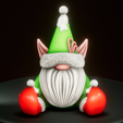 27A3D552-93BA-4816-BBA5-21411A905430.png 🎄🎅  CHRISTMAS GNOMES 🎅🎄
