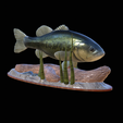 bass-na-podstavci-8.png bass underwater statue detailed texture for 3d printing