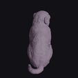 Pygmy-20Marmoset_0007.jpg Sitting Pygmy Marmoset Figurine