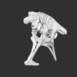 Bassin complet02.jpg OBJ file Life size baby T-rex skeleton - Part 02/10・Model to download and 3D print