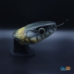 3588919956-1.jpg Fichier 3D Natrix Natrix-STL-3D-Fichier d'impression Couleuvre à collier High-Polygon y compris langue (avec fixation magnétique), socle et support mural・Modèle à imprimer en 3D à télécharger
