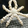 IMG_20210211_150807000_HDR.jpg Poseable Poppin Spider Toy