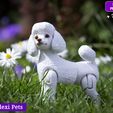 L-9.jpg Realistic Poodle dog articulated flexi toy named Luna  (STL & 3MF)