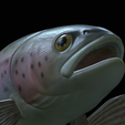 Rainbow-trout-trophy-open-mouth-1-24.png fish rainbow trout / Oncorhynchus mykiss trophy statue detailed texture for 3d printing