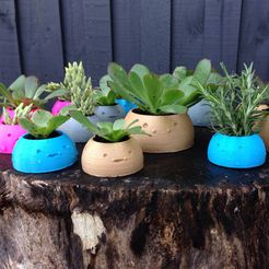 1.jpg Happy Planters