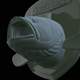 White-grouper-head-trophy-48.png fish head trophy white grouper / Epinephelus aeneus open mouth statue detailed texture for 3d printing