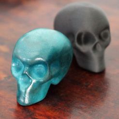 IMG_1.JPG Download OBJ file Skull Lee • 3D printing model, pacificateur
