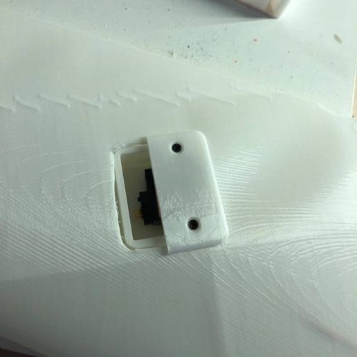 99441034_2985956811519051_6729321688124620800_n.jpg Zagi SC (Asa Voadora)