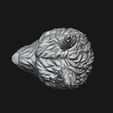 17.jpg Skull wolf scalp