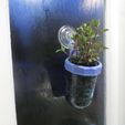 IMG_7021.JPG Hanging Mason Jar Window Planter